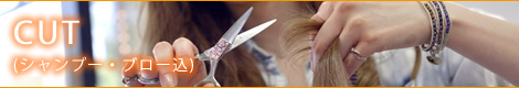 CUT(シャンプー・ブロー込)