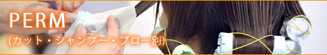 PERM(カット・シャンプー・ブロー別)