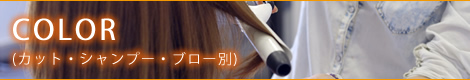 COLOR(カット・シャンプー・ブロー別)